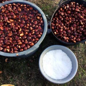 Flaczki z olejem - Magusto - kasztany