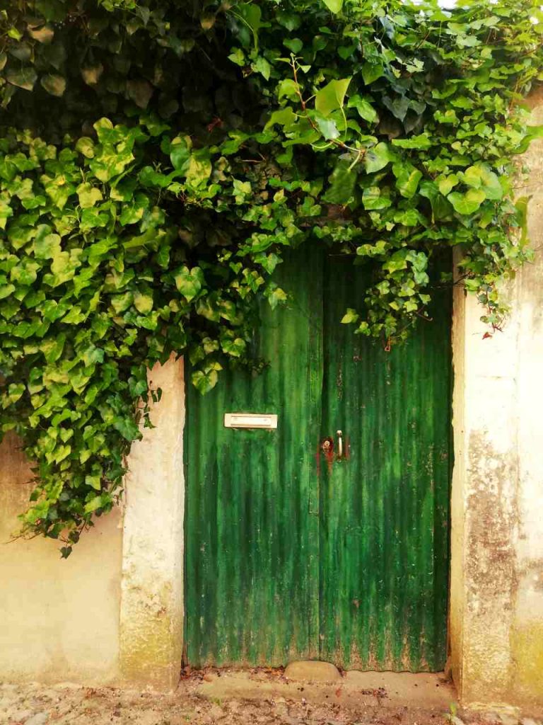 Santarém - drzwi zielone