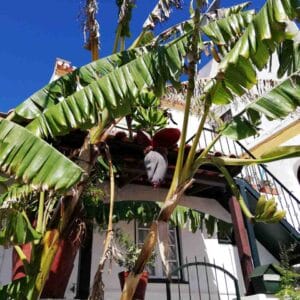 Constancia - miasteczko poezji