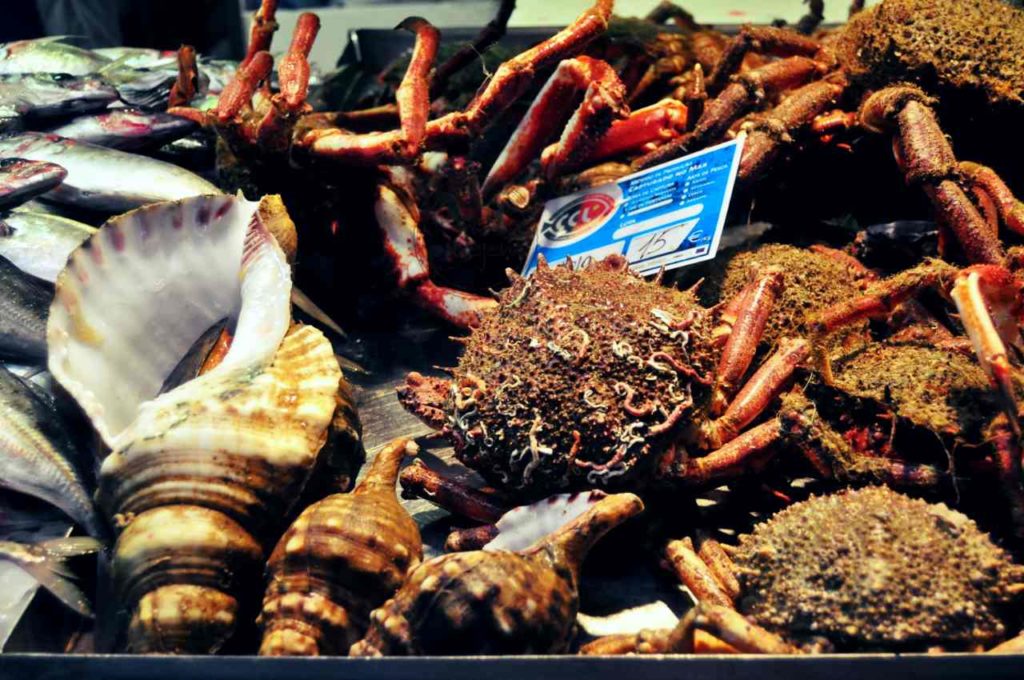 Owoce morza i ryby w Portugalii - kraby i ślimaki
