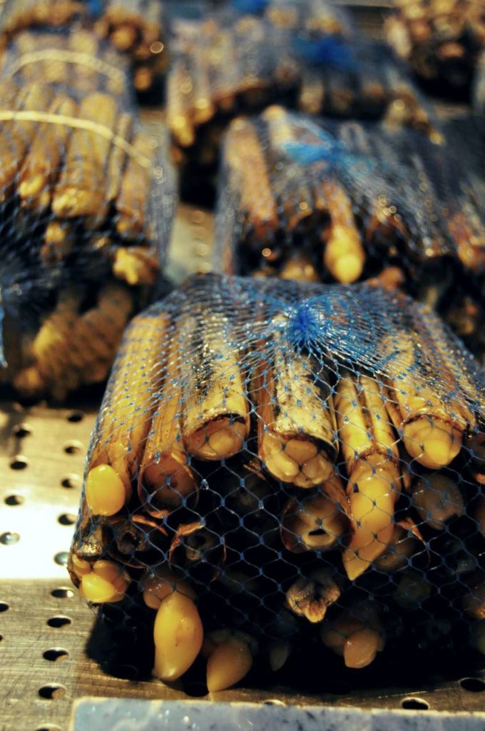 Owoce morza i ryby w Portugalii - okładniczki