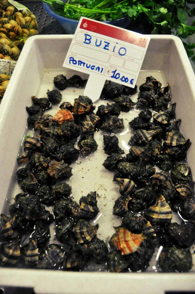 Owoce morza i ryby w Portugalii - ślimaki morskie