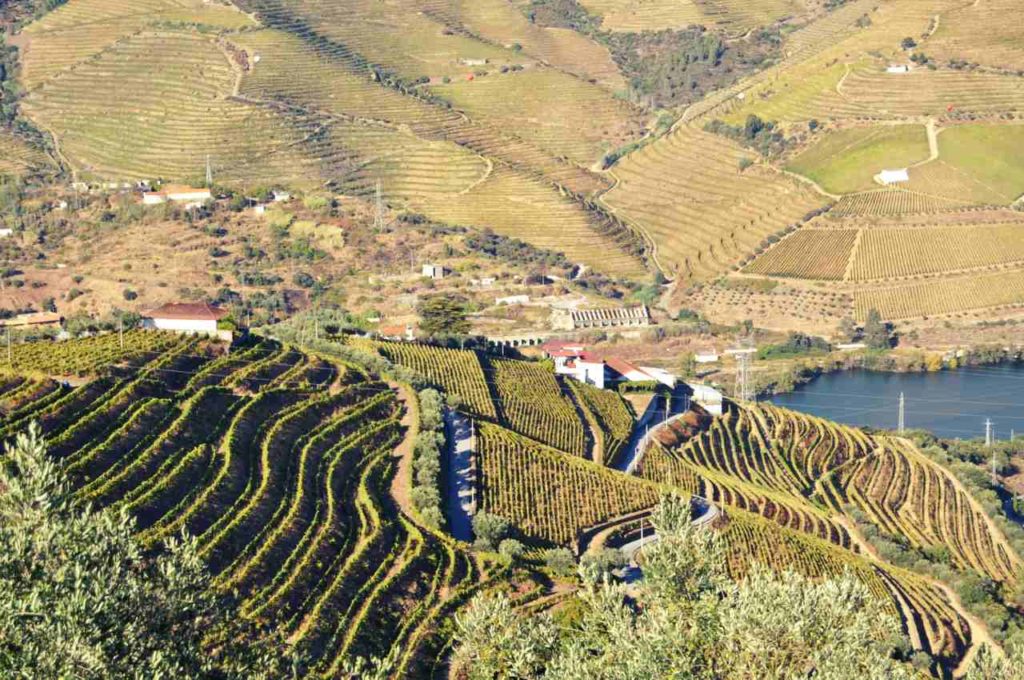 Północna Portugalia - Dolina Douro