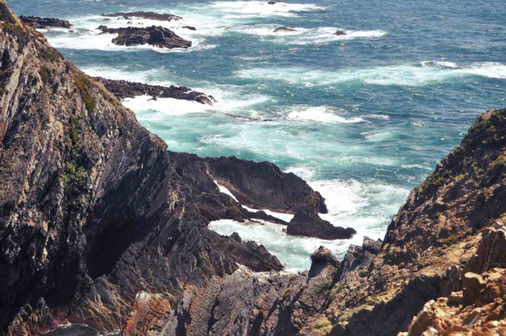 Południowa Portugalia - Costa Alentejana - bocian na klifie