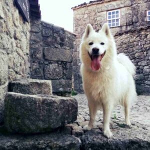 Sortelha - historyczna wioska z kamienia