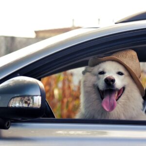 Przerejestrowanie auta w Portugalii – ile kosztuje i jak tego dokonać