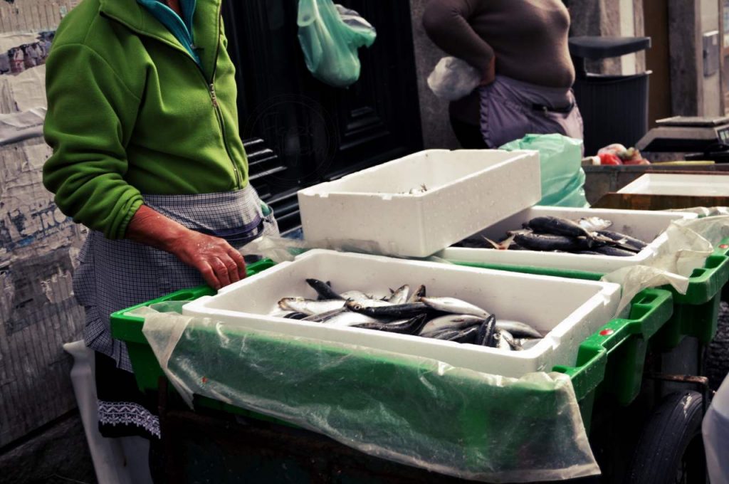 Viana do Castelo - sprzedaż ryb