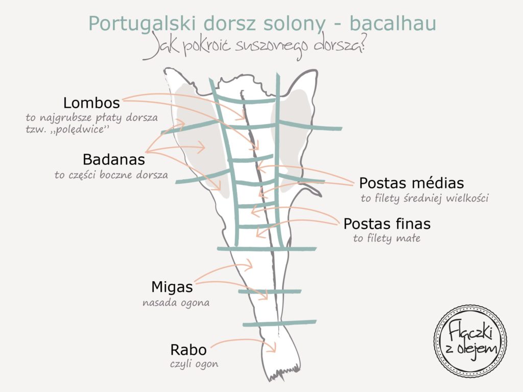 Portugalski dorsz solony - bacalhau - infografika