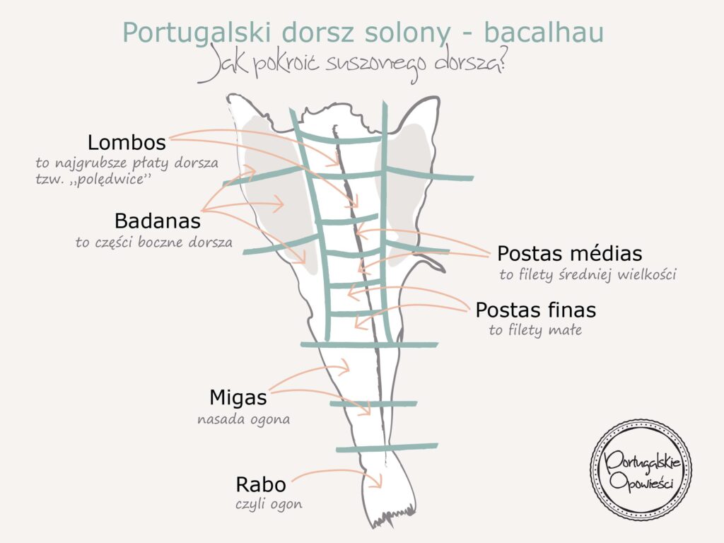 Portugalski dorsz solony -bacalhau -infografika jak kroić bacalhau