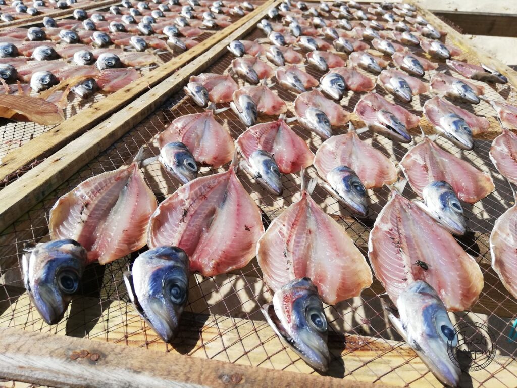 Portugalia - Nazare - ryby suszone na słońcu