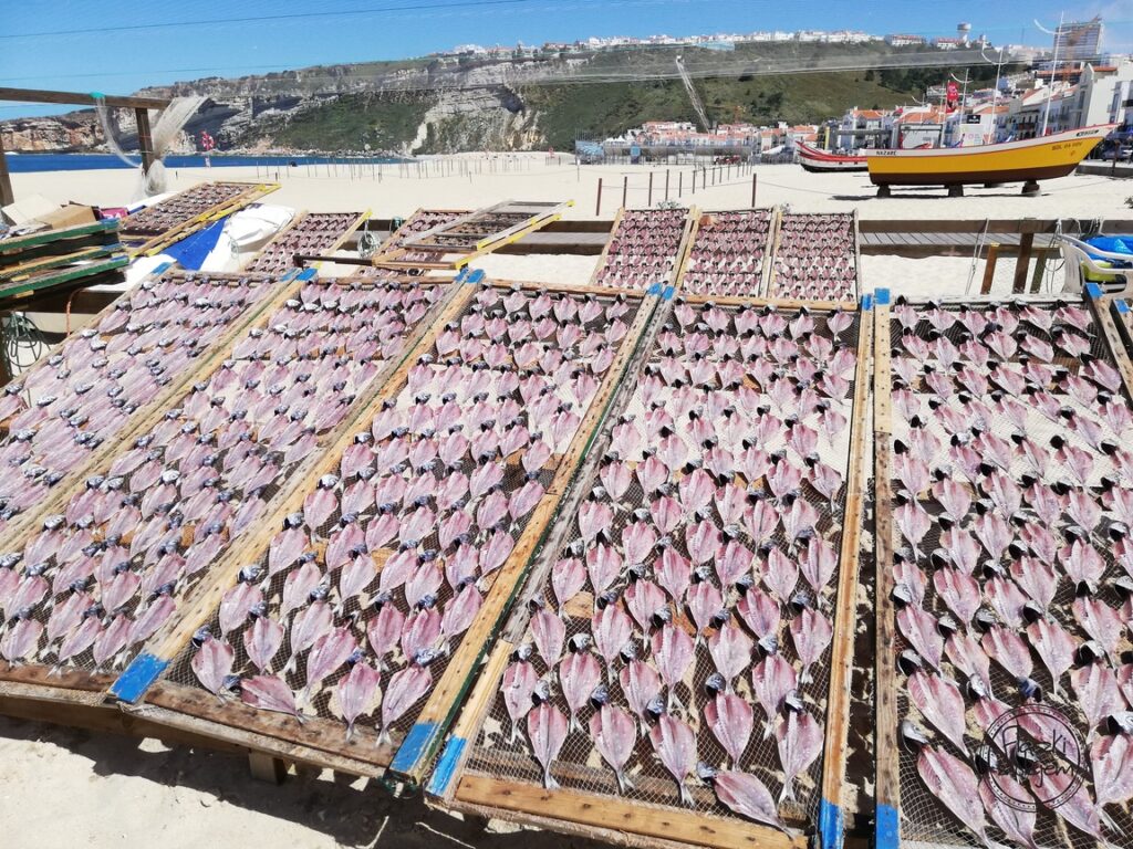 Suszenie ryb na słońcu w Portugalii - Nazare
