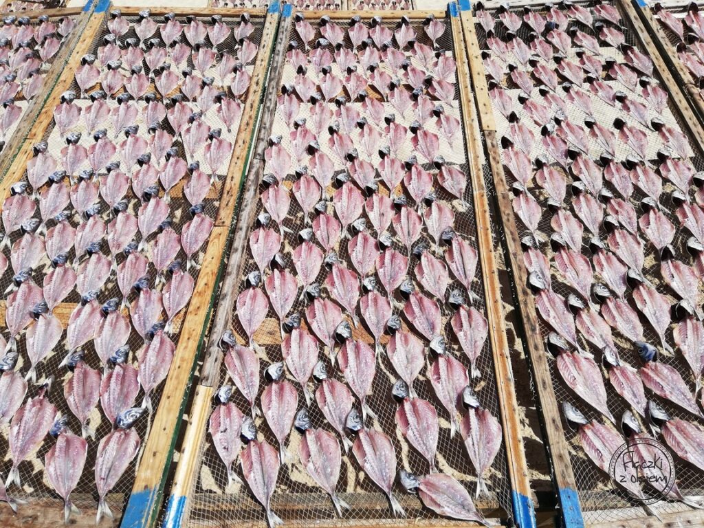Suszone na słońcu ryby - Portugalia - Nazare