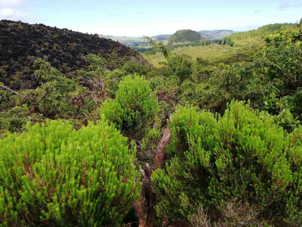 Panorama - szlak Misterios Negros - Terceira - Azory
