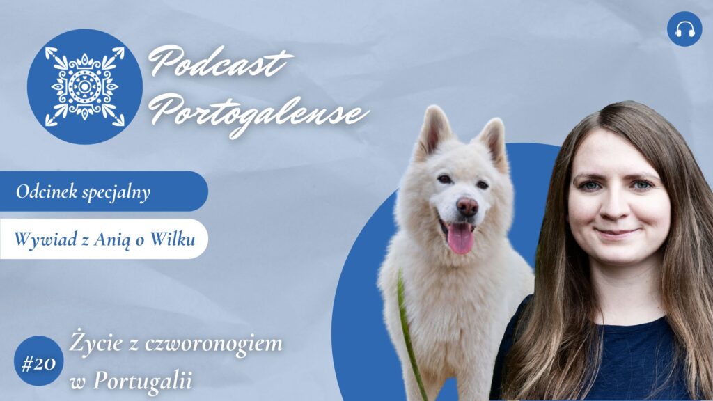 Portugalskie Opowieści - życie z psem w Portugalii - podcast