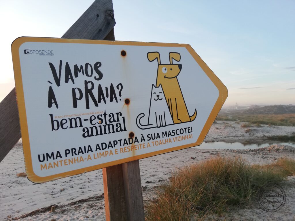 Portugalia z psem - psia plaża