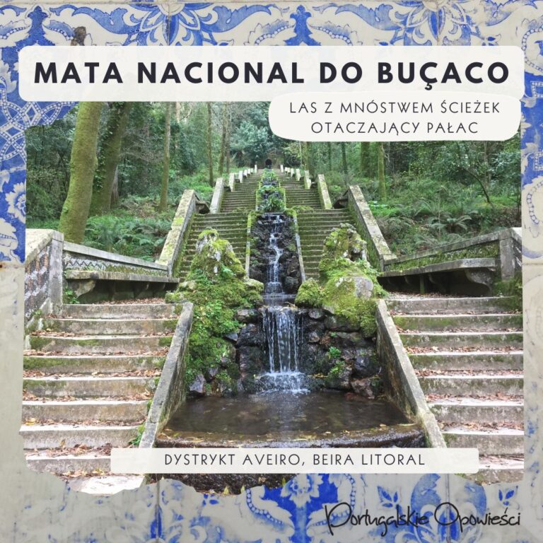 Portugalia mało znana - Mata Nacional Bussaco