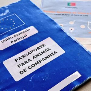 Wizyta u weterynarza w Portugalii – paszport i ksiazeczka zdrowia