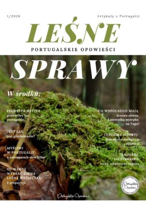 LESNE SPRAWY -Portugalskie Opowiesci - okladka